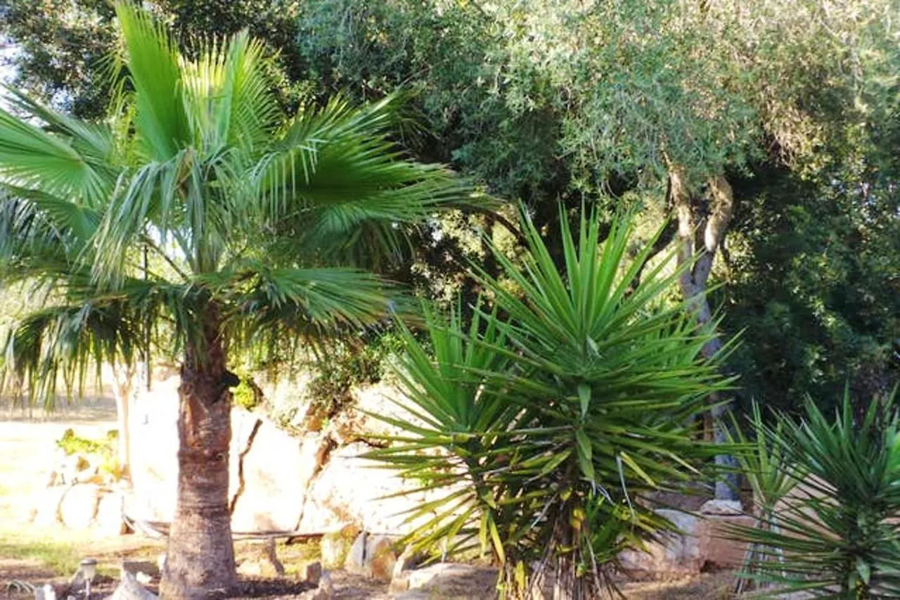Feriehus 2 Bedrooms House With Private Pool Enclosed Garden And Wifi At Campos Campos